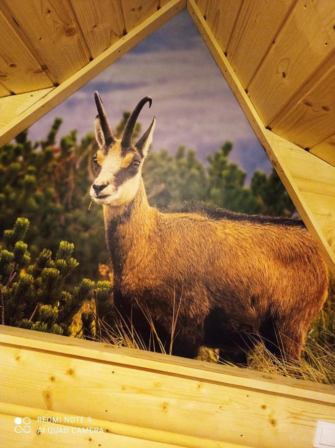 Noclegi U Gabrysi Kościelisko Buitenkant foto